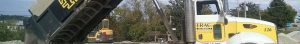 Image of crane