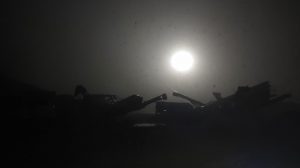 Image of plant at night under full moon